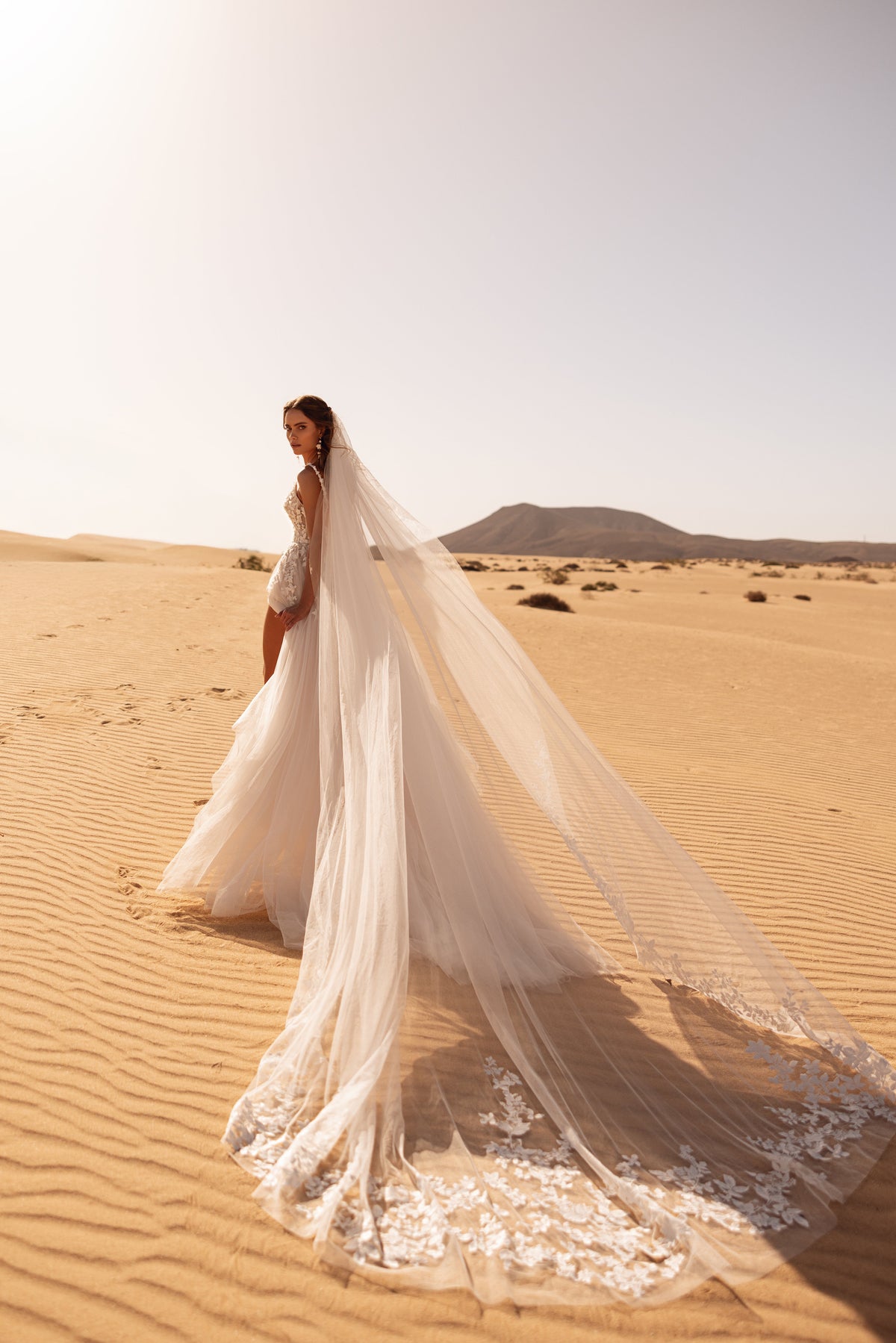 Voile de mariée Aviva bordé de dentelle.